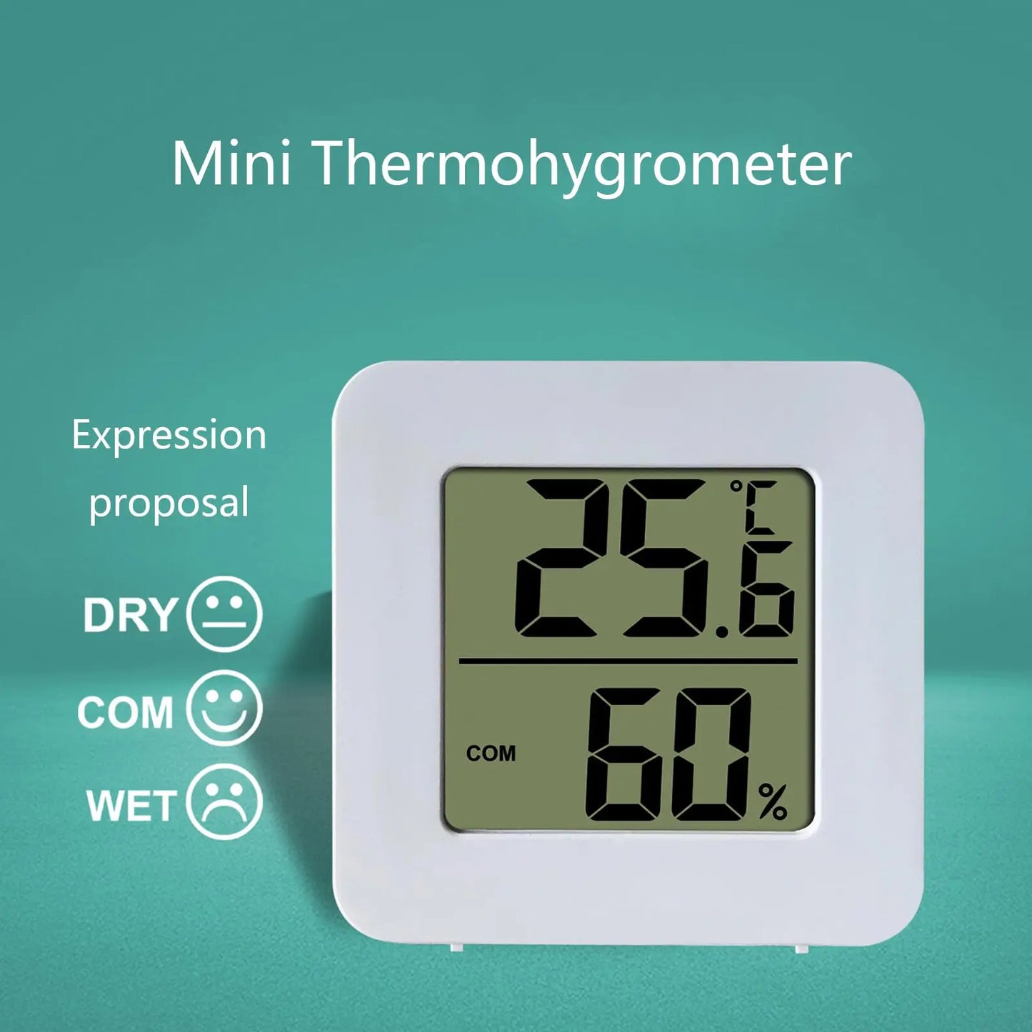 Digital Indoor Thermometer with Hygrometer
